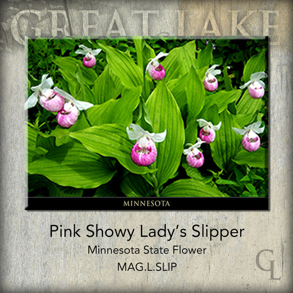 Great Lake Hardback Picture Magnets